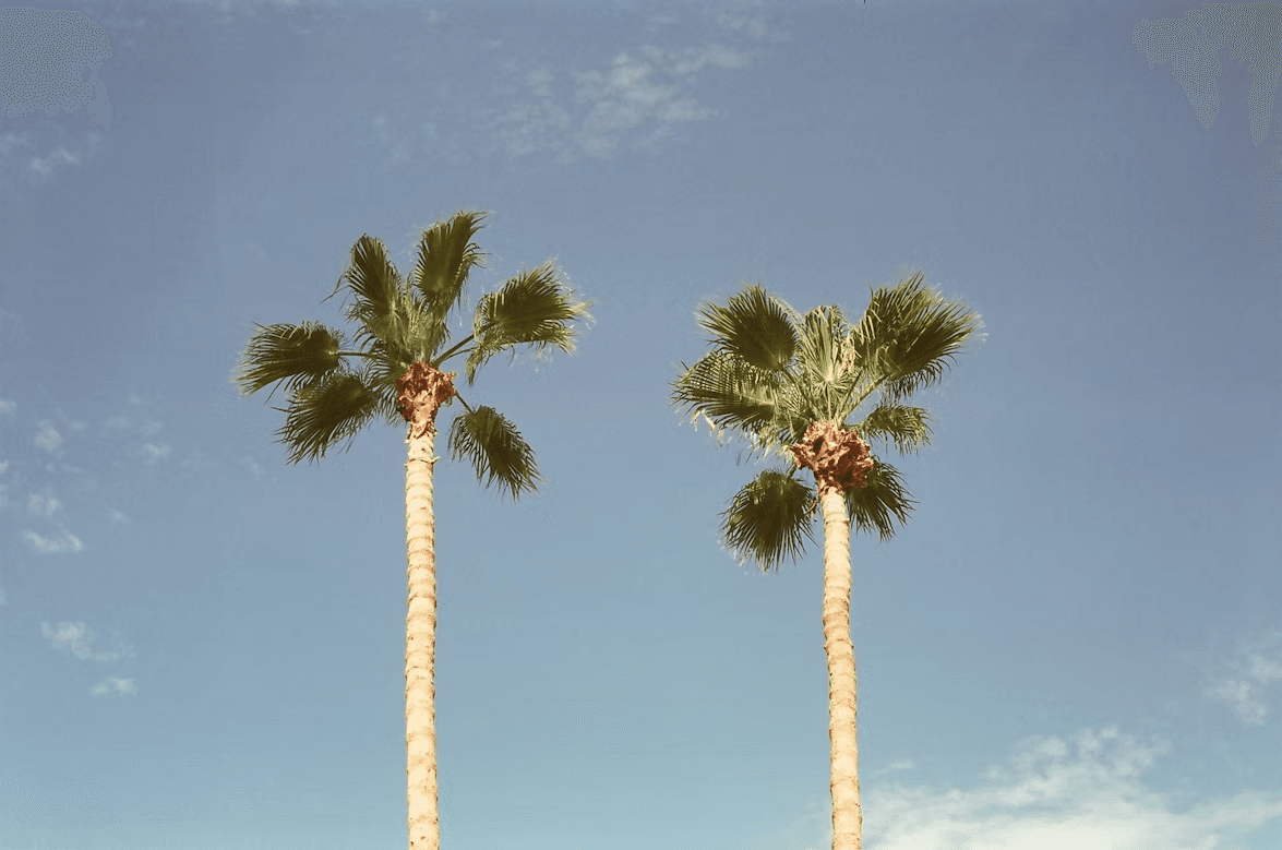The foundations of Ziracle