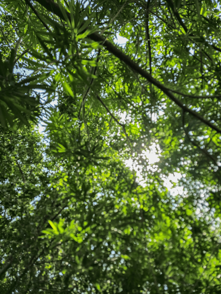 A conscious skincare ritual