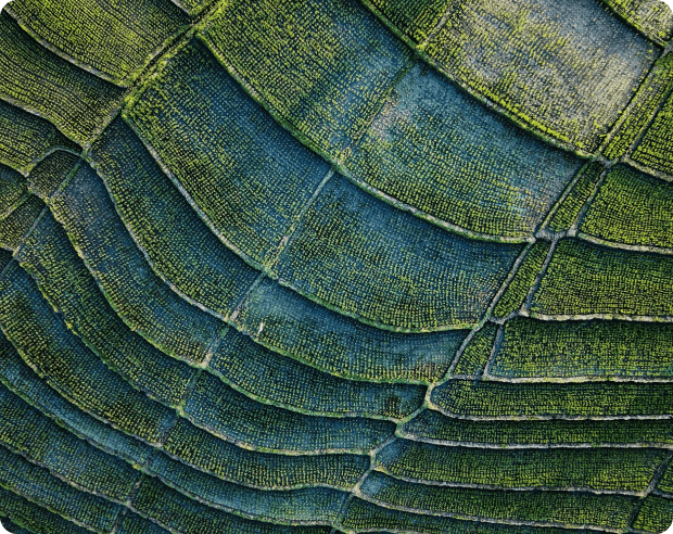 Sustainability across all categories