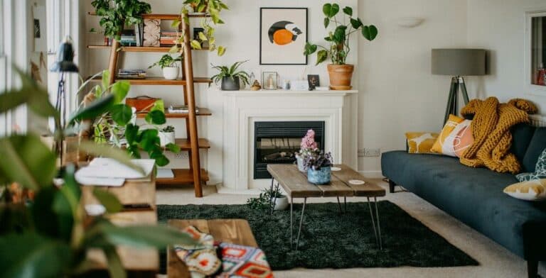 Eco Swaps for Home