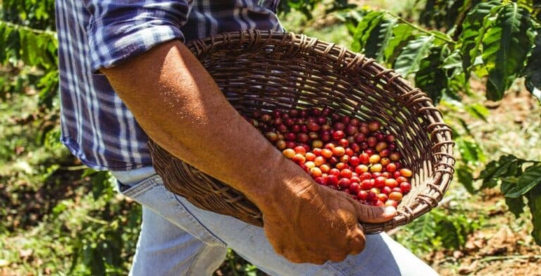 The Case for Buying Organic