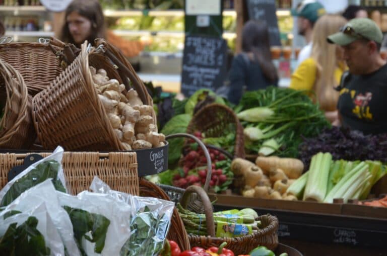 eco-friendly grocery shop|||||||