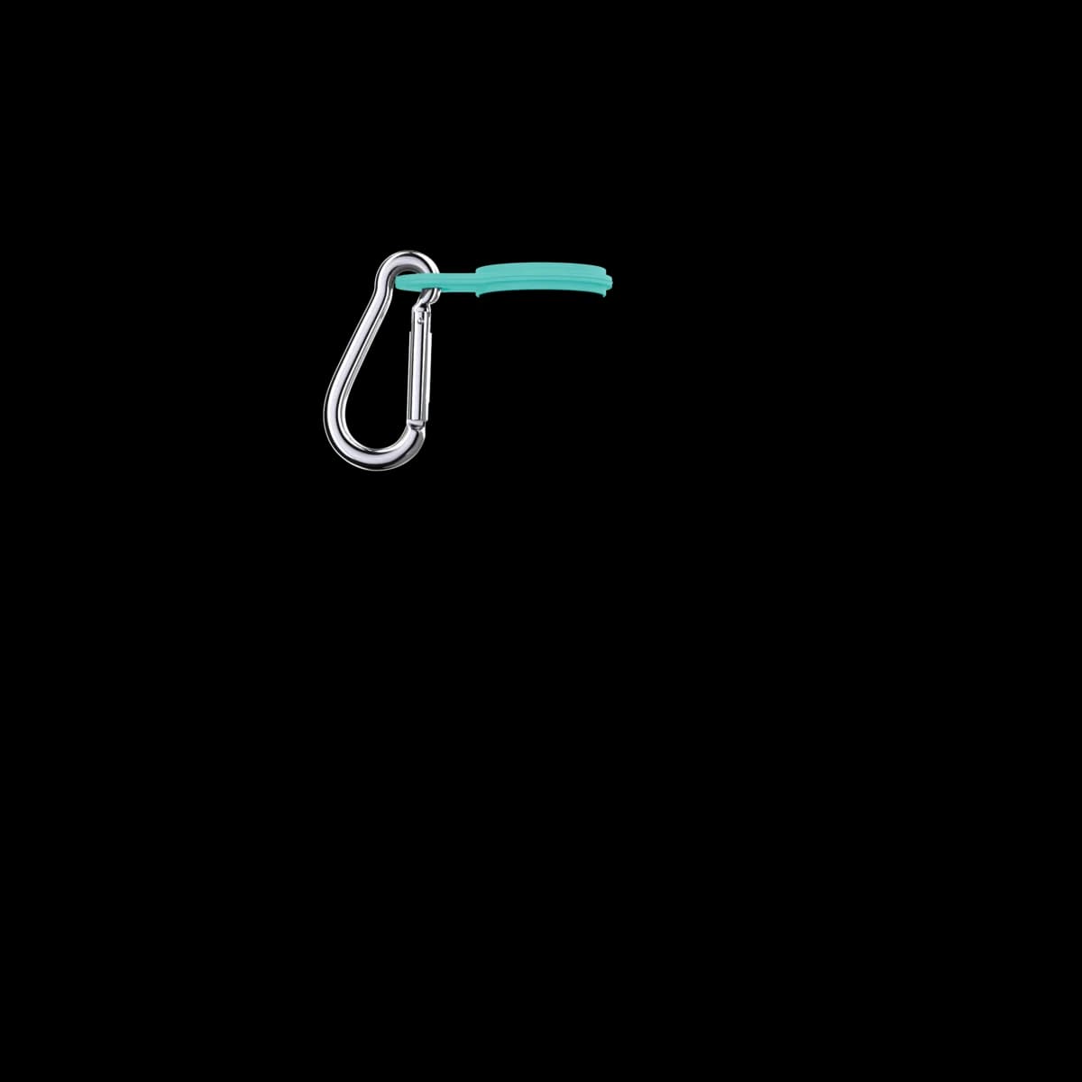 SHO 2.0 Carabiner - Aqua