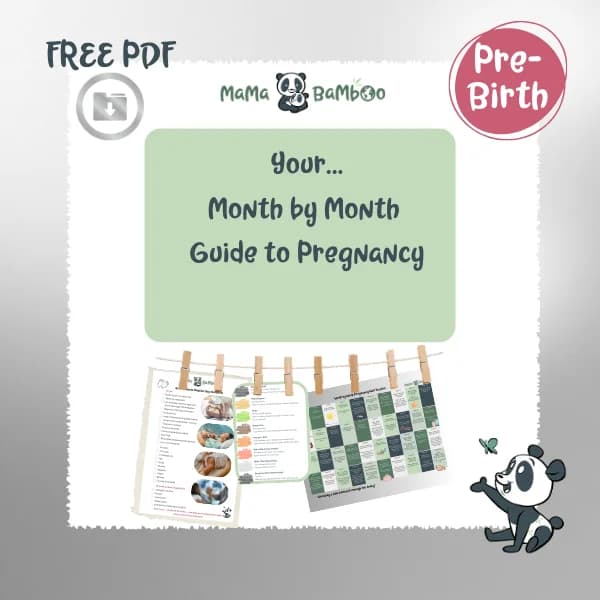 Month by Month Pregnancy Guide – image 1