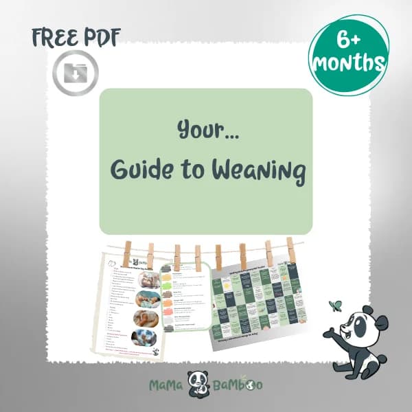 Your Guide to Weaning – image 1