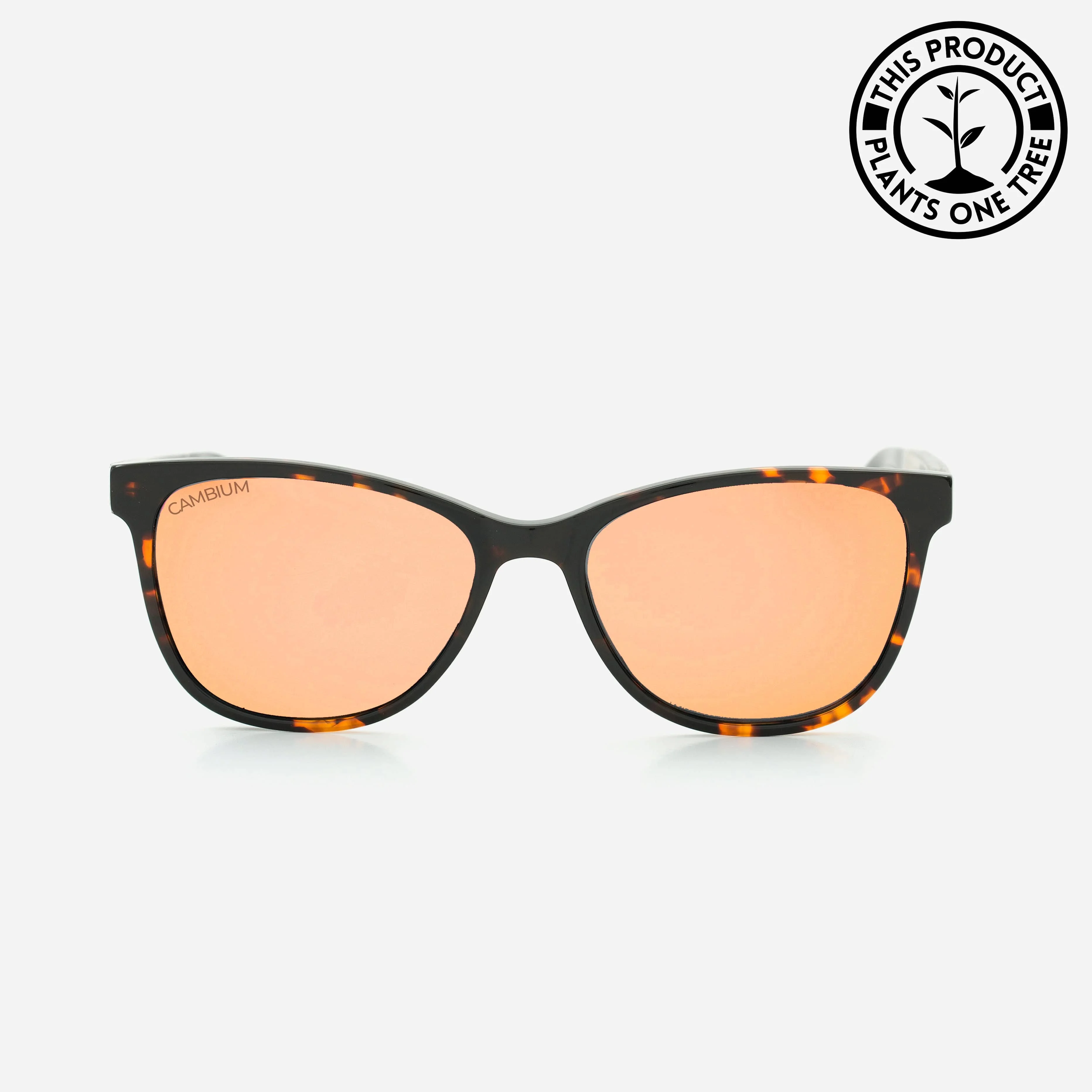 Hana | Rosegold | Tortoishell frame