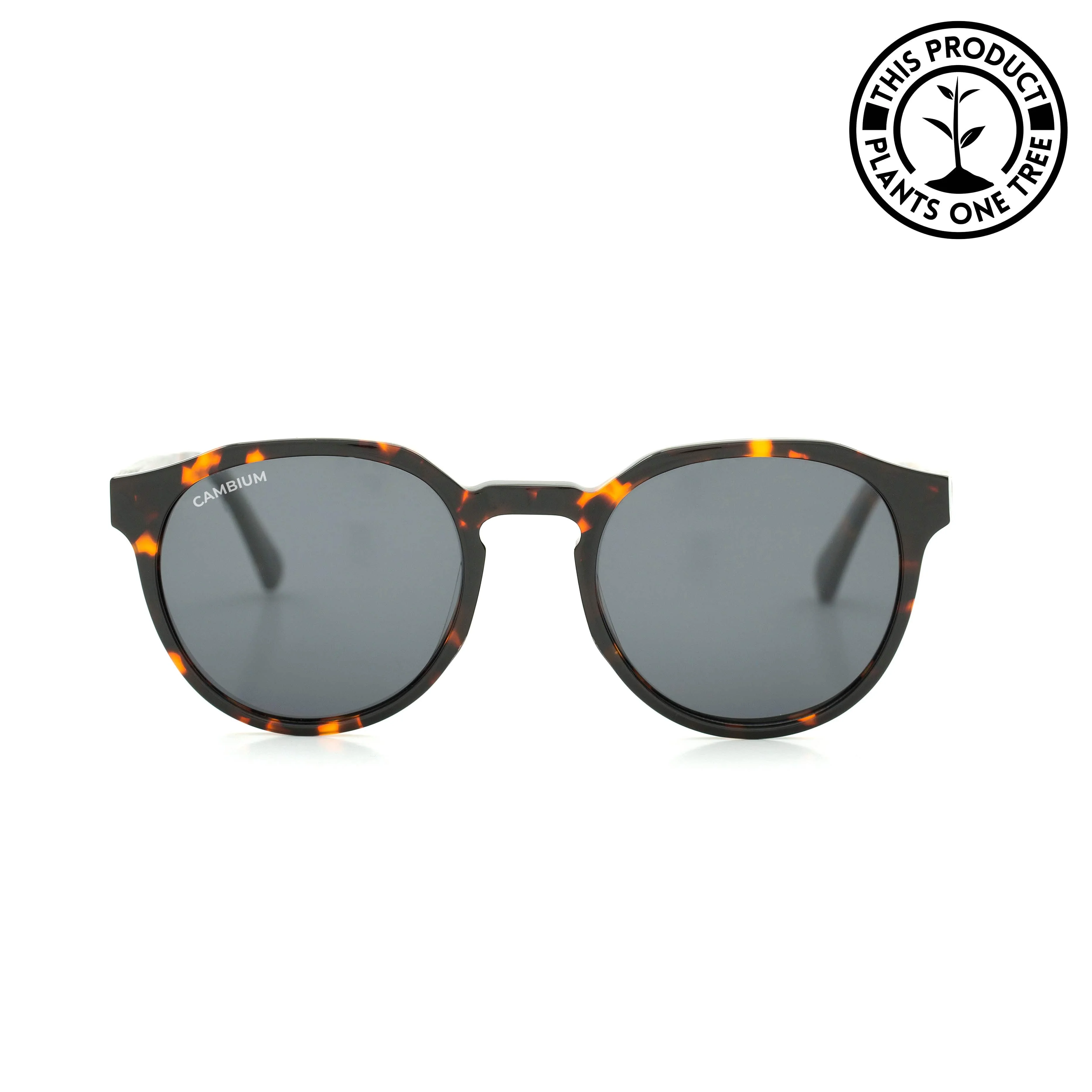 Kawela | Classic Black | Tortoishell Frame