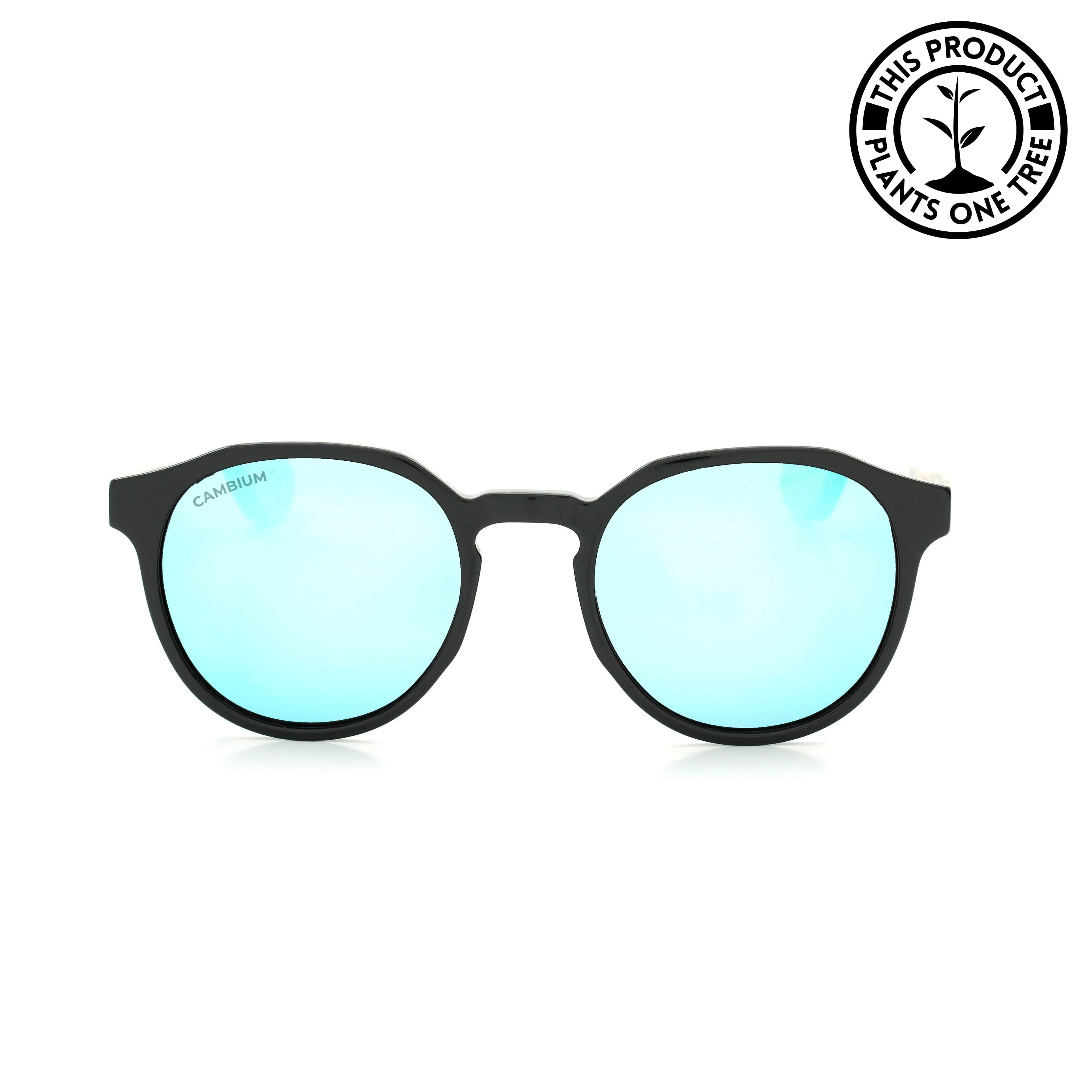 Kawela | Ice Blue | Black Frame