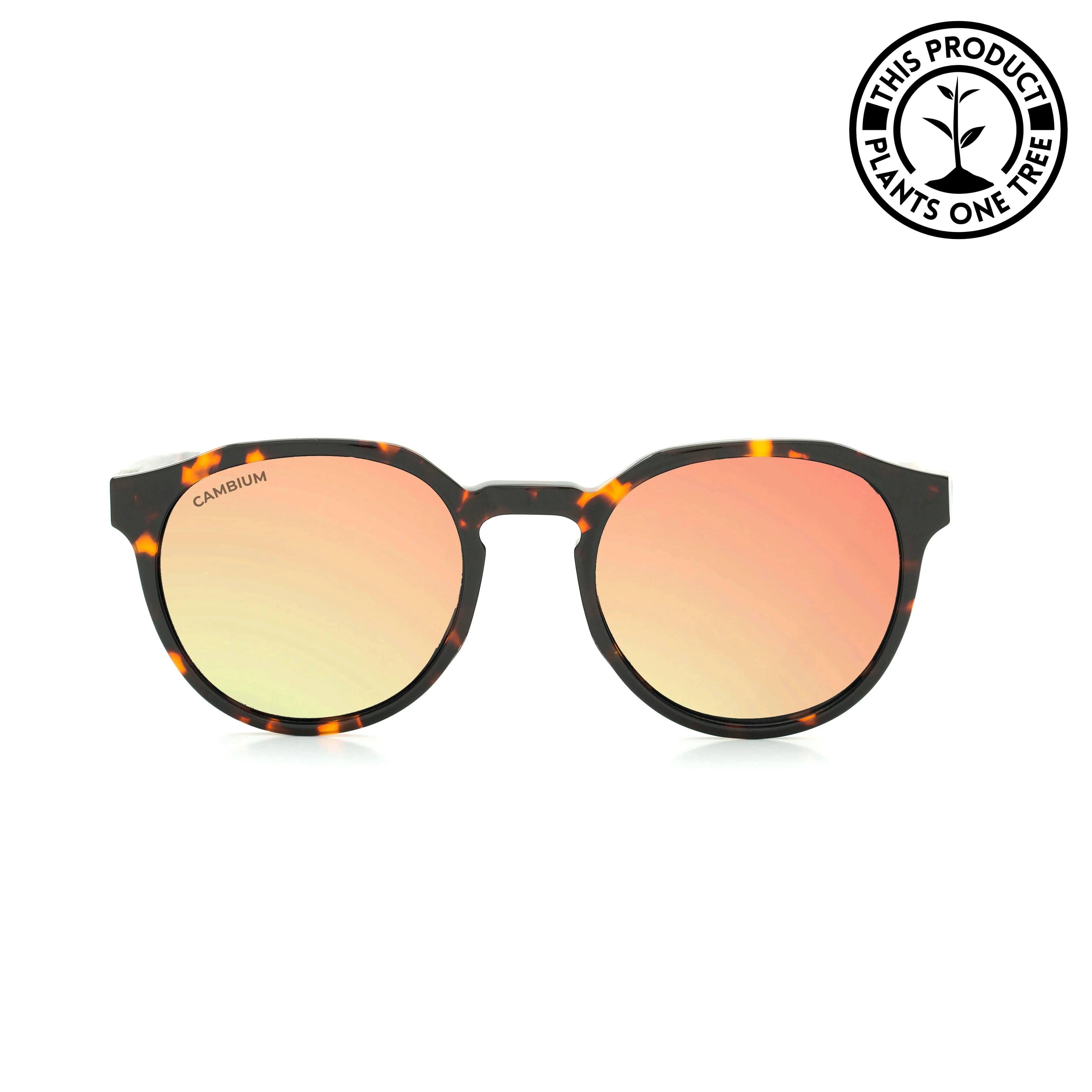 Kawela | Rosegold | Tortoishell Frame