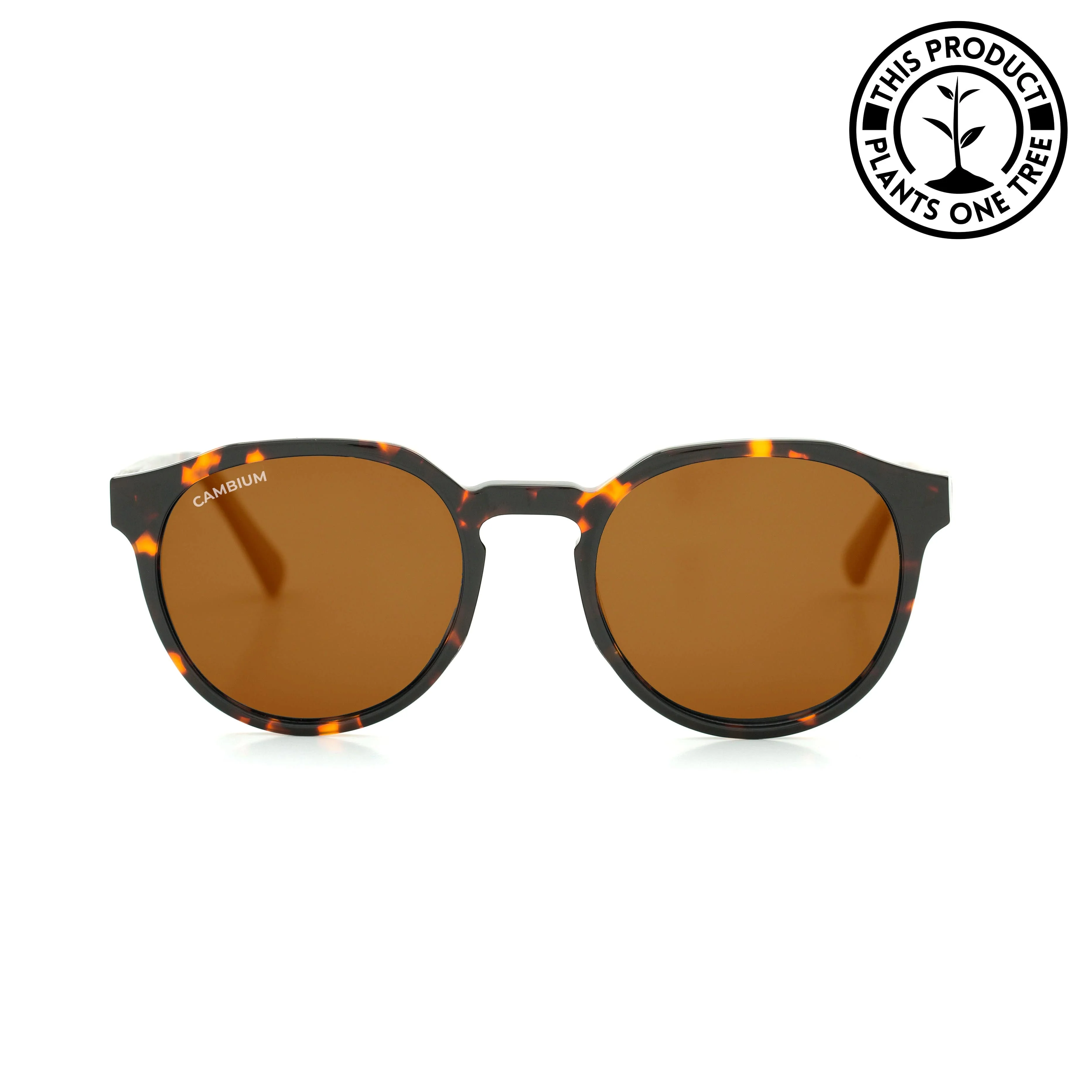 Kawela | Vintage Brown | Tortoishell Frame