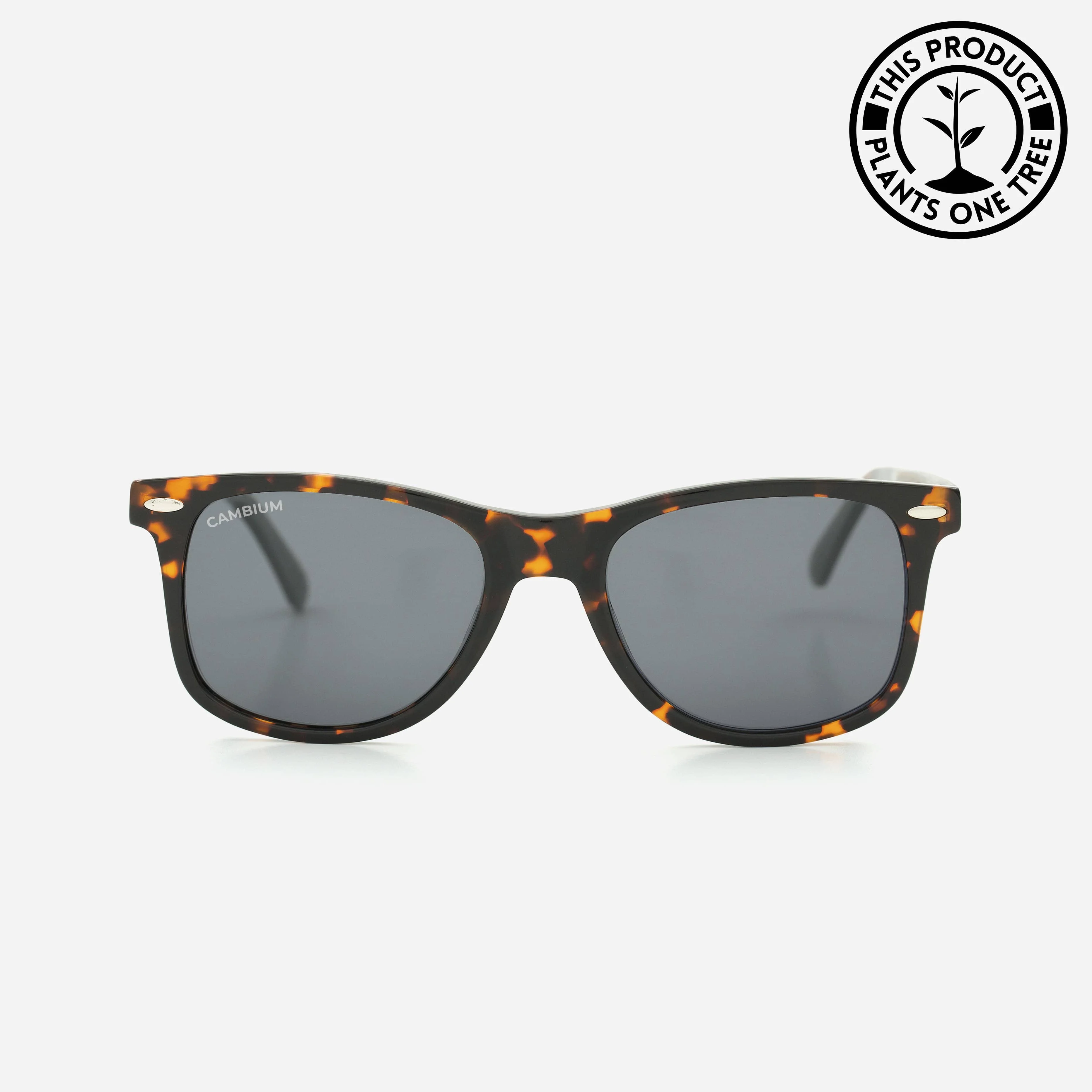 O'ahu | Classic Black | Tortoishell Frame