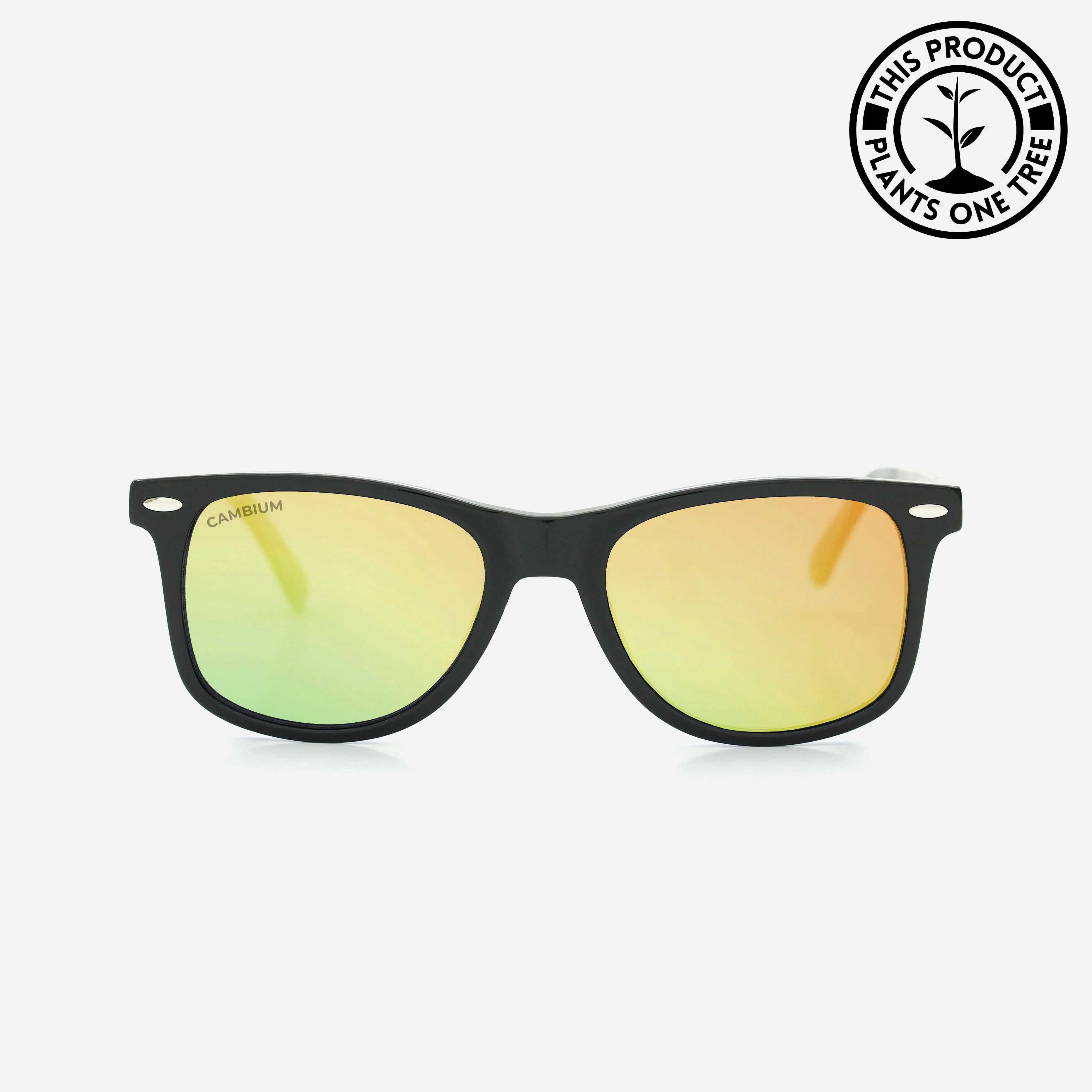 O'ahu | Gold Chrome | Black Frame
