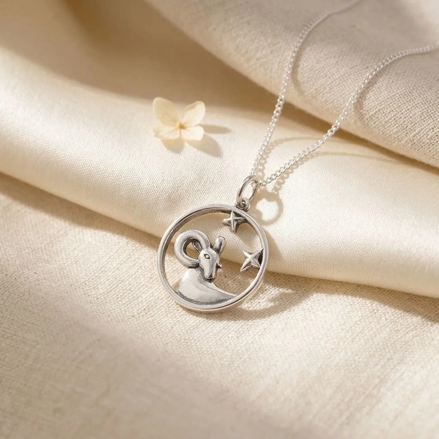 Aries Zodiac Horoscope Charm Sterling Silver Necklace