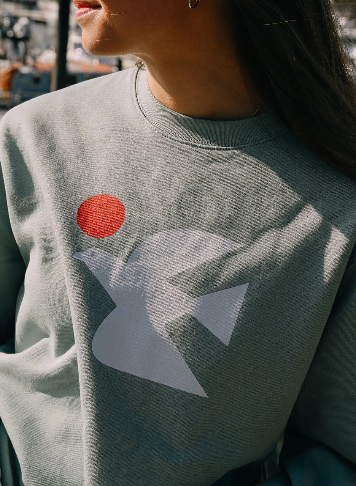 Warbird of Peace Sweatshirt
