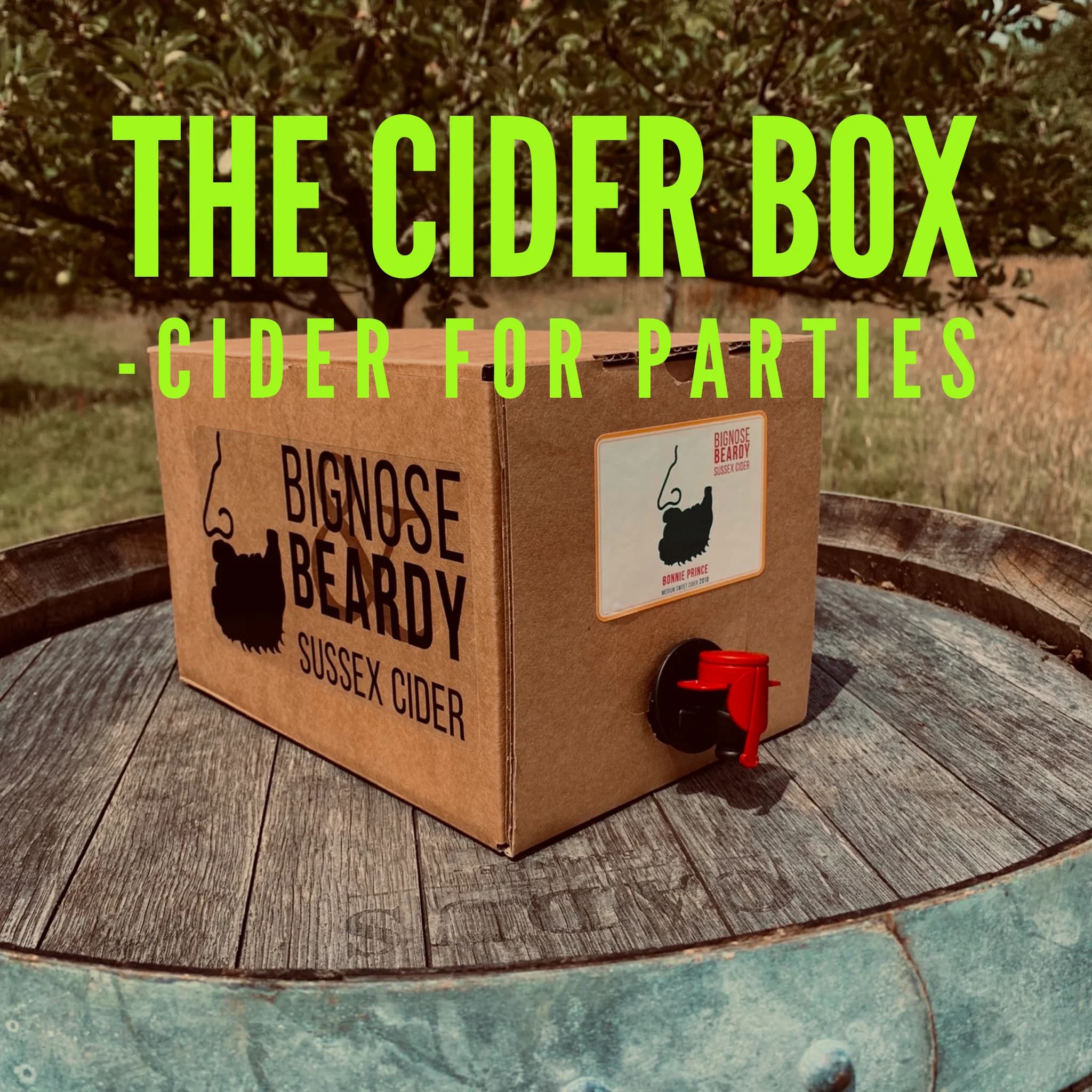 Bag-in-Box Cider Party Packs – image 1