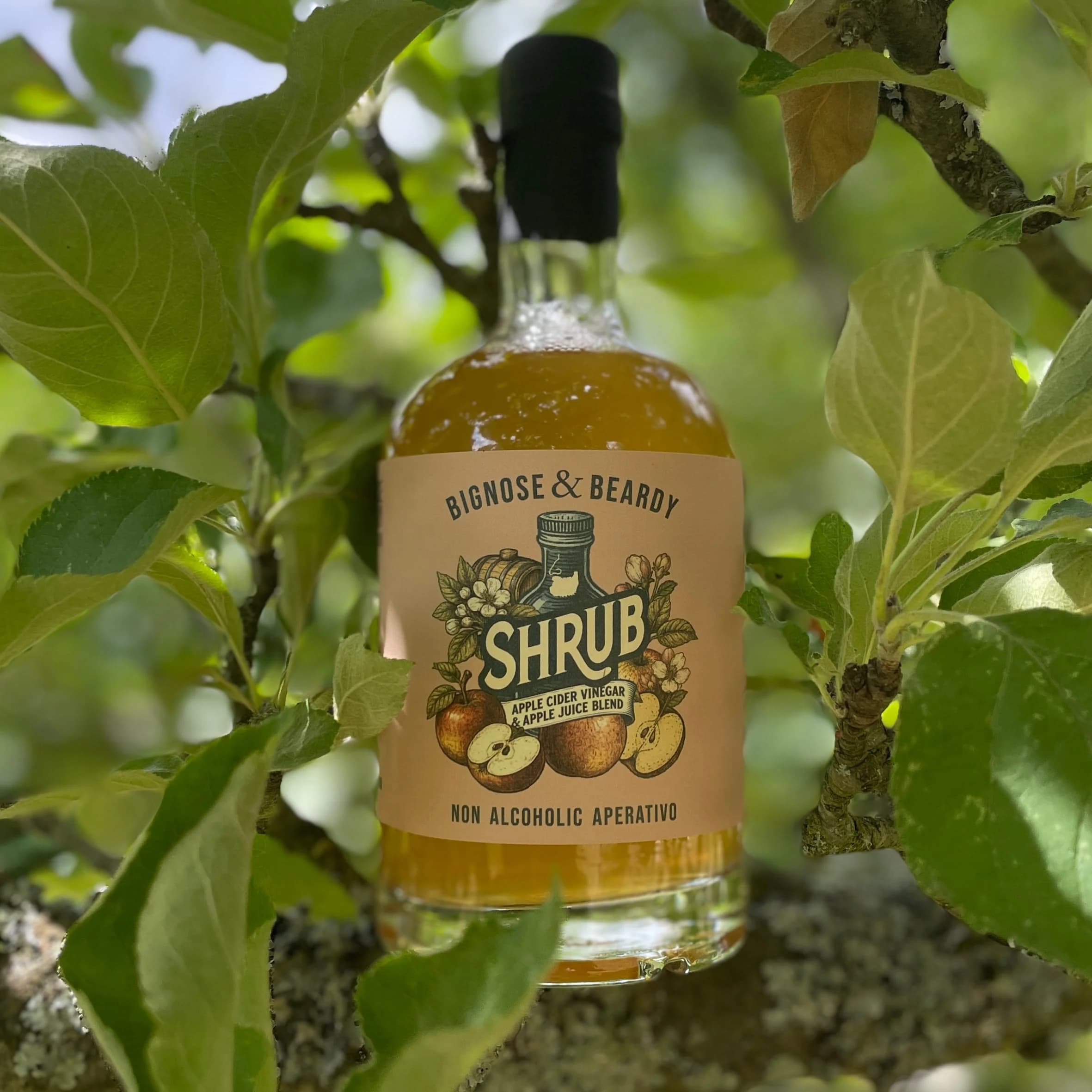 Apple Shrub - Non-Alcoholic Aperitivo – image 1