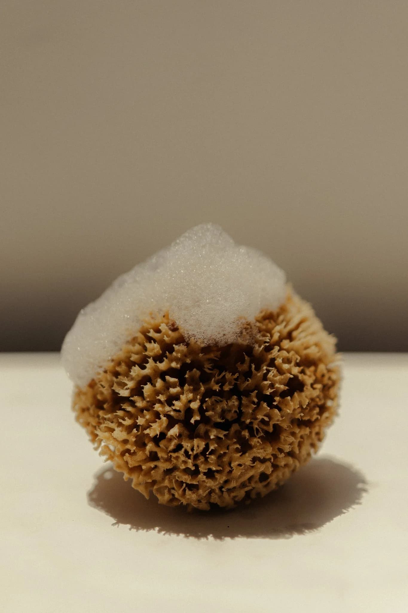 Calypso Golden Honeycomb Body Sea Sponge