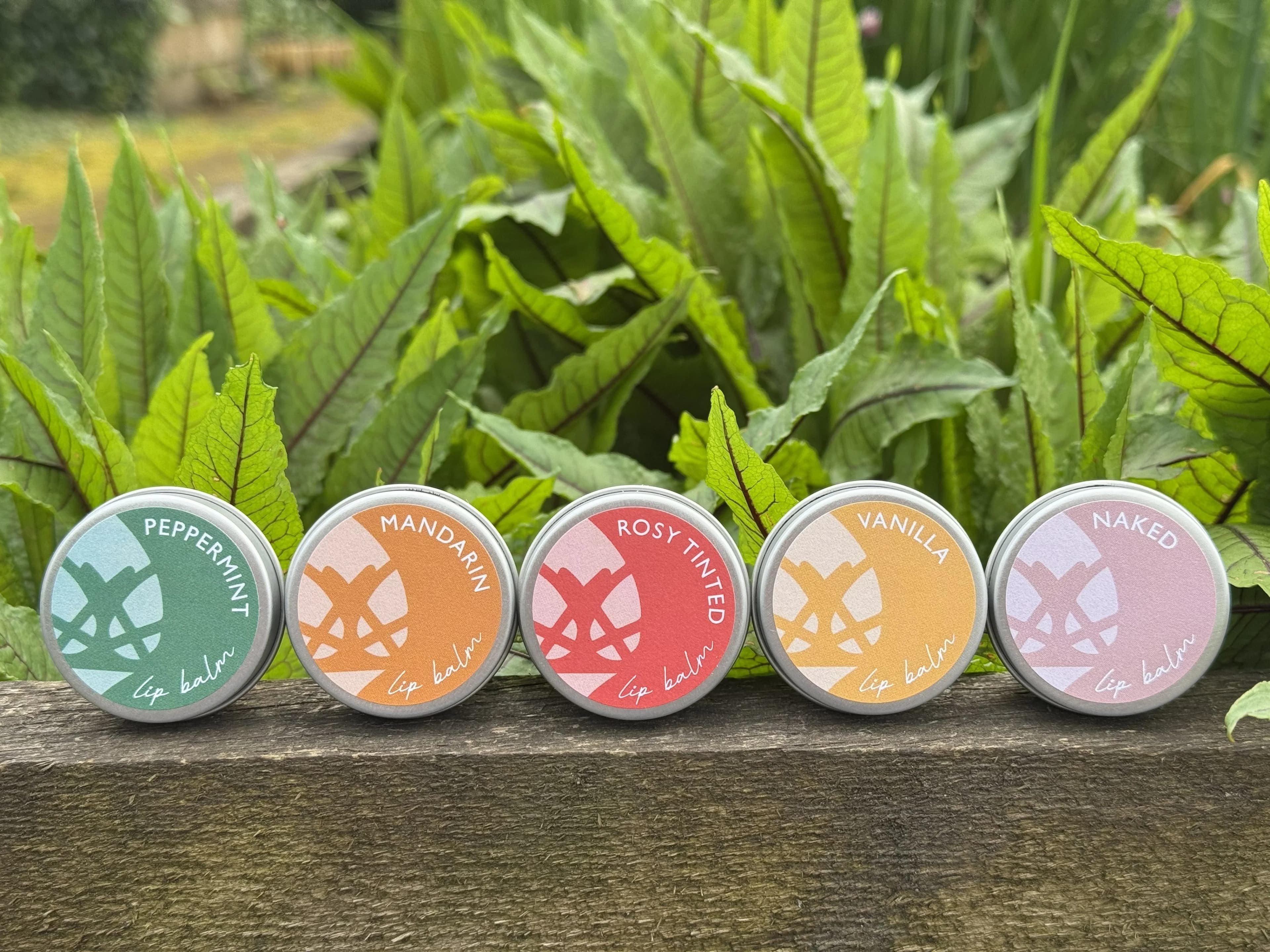 Wholesale Vegan Lip Balm £3.25 ex VAT