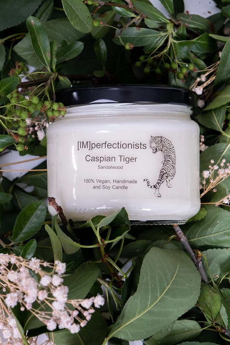 Sandalwood Scented Candle - Caspian Tiger Candle Melts into Hand Cream