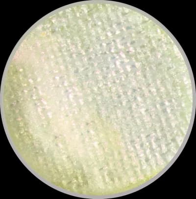 Charm (Duochrome White Gold) Pan