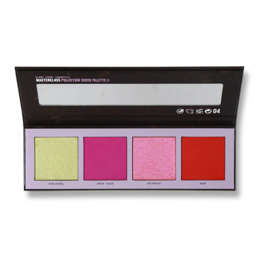 Masterclass Psilocybin Cheek Palette Version II - Blend Bunny Cosmetics