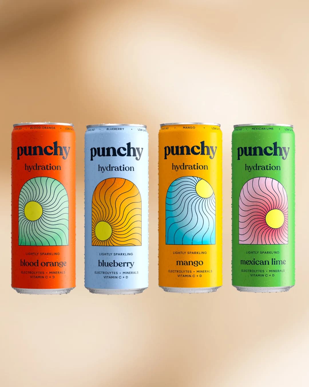 Hydration Drink Variety Pack – image 1