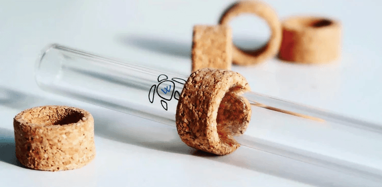 WiseSip banner