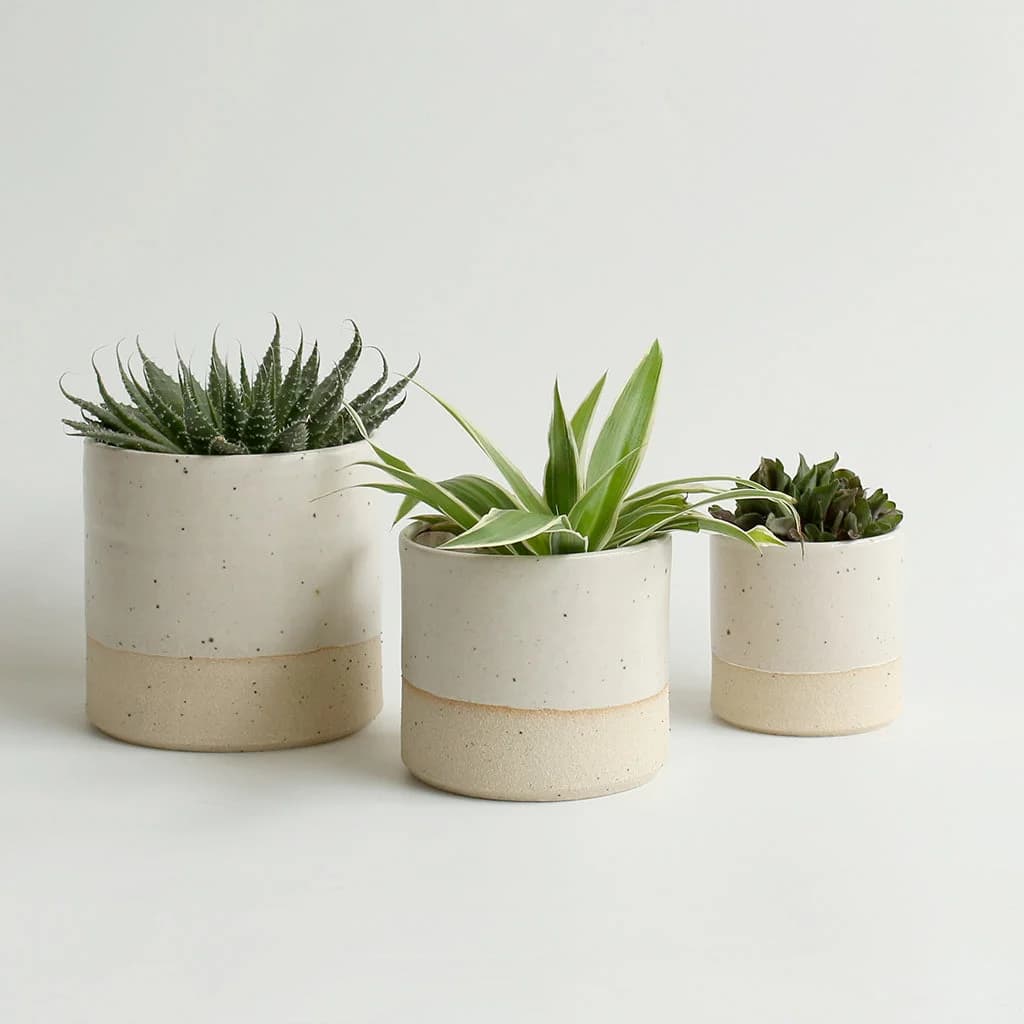 Off-White White Stoneware Ceramic Plant Pots