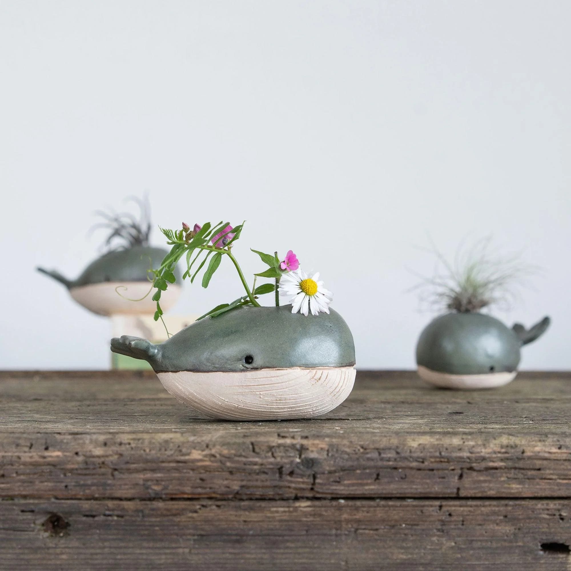 Whale Bud Vase Air Plant Holder