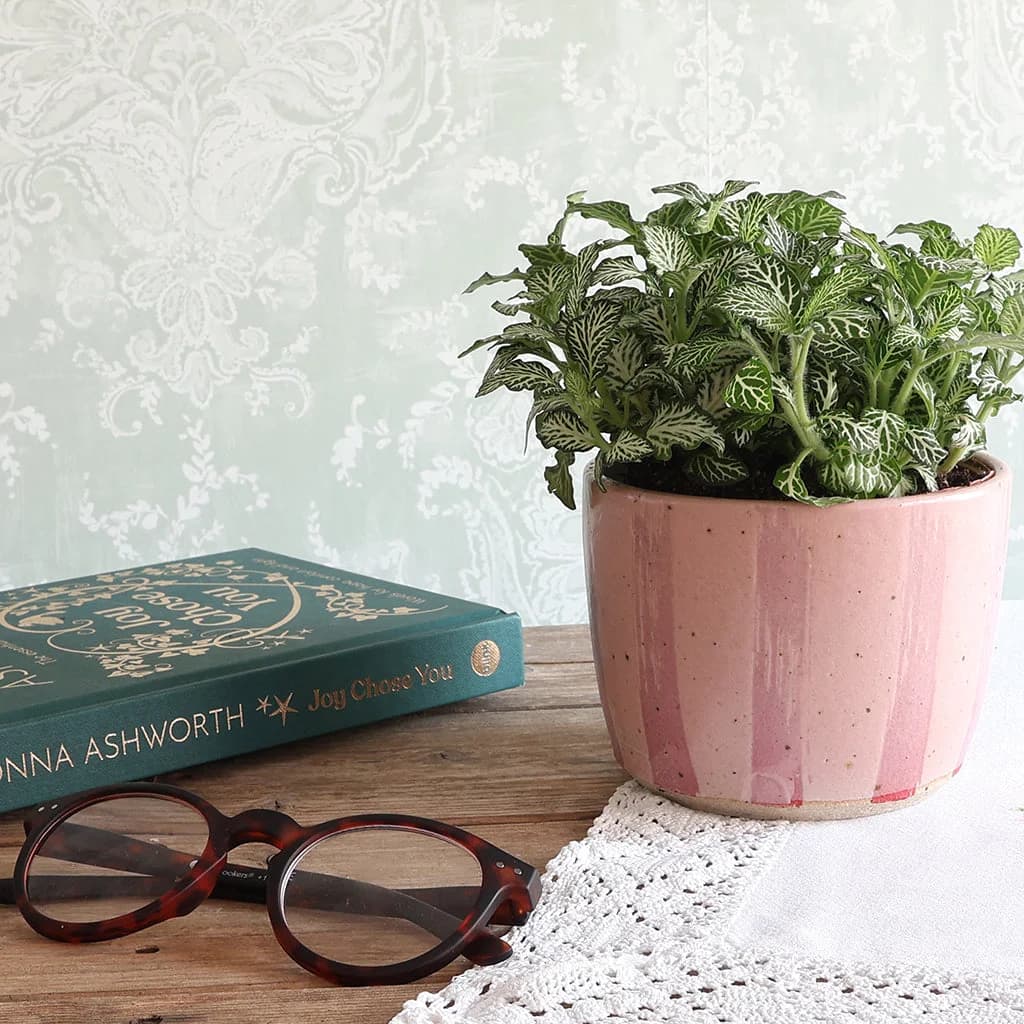 A handmade pink stripe ceramic planter holding a green leafy houseplant, styled on a wooden surface next to a teal book and tortoiseshell eyeglasses against a pale patterned wallpaper background.