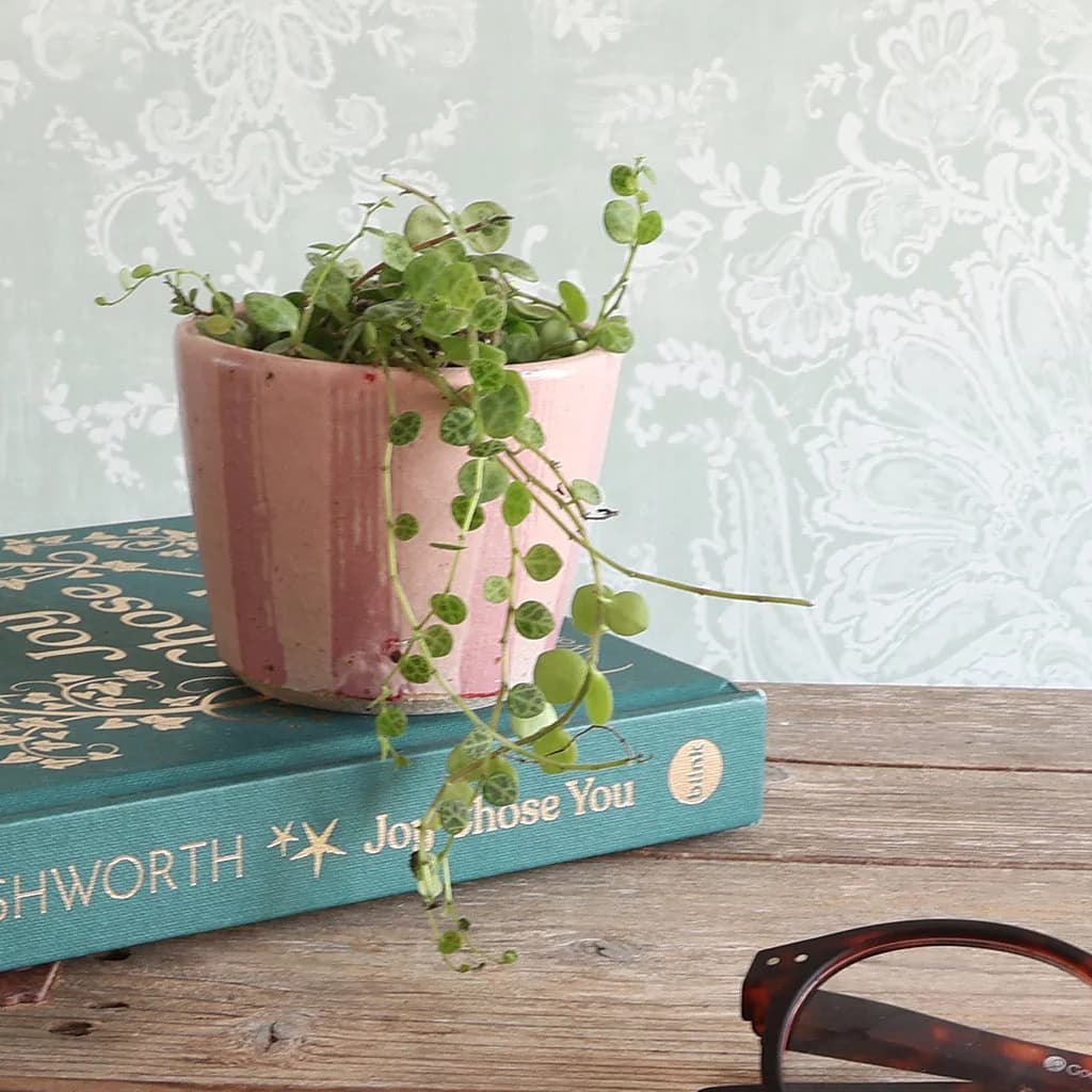 A pink striped ceramic planter containing a trailing green plant, styled on top of a teal book with gold lettering, set on a rustic wooden table with a pair of tortoiseshell glasses in the foreground and a pale patterned wallpaper in the background.