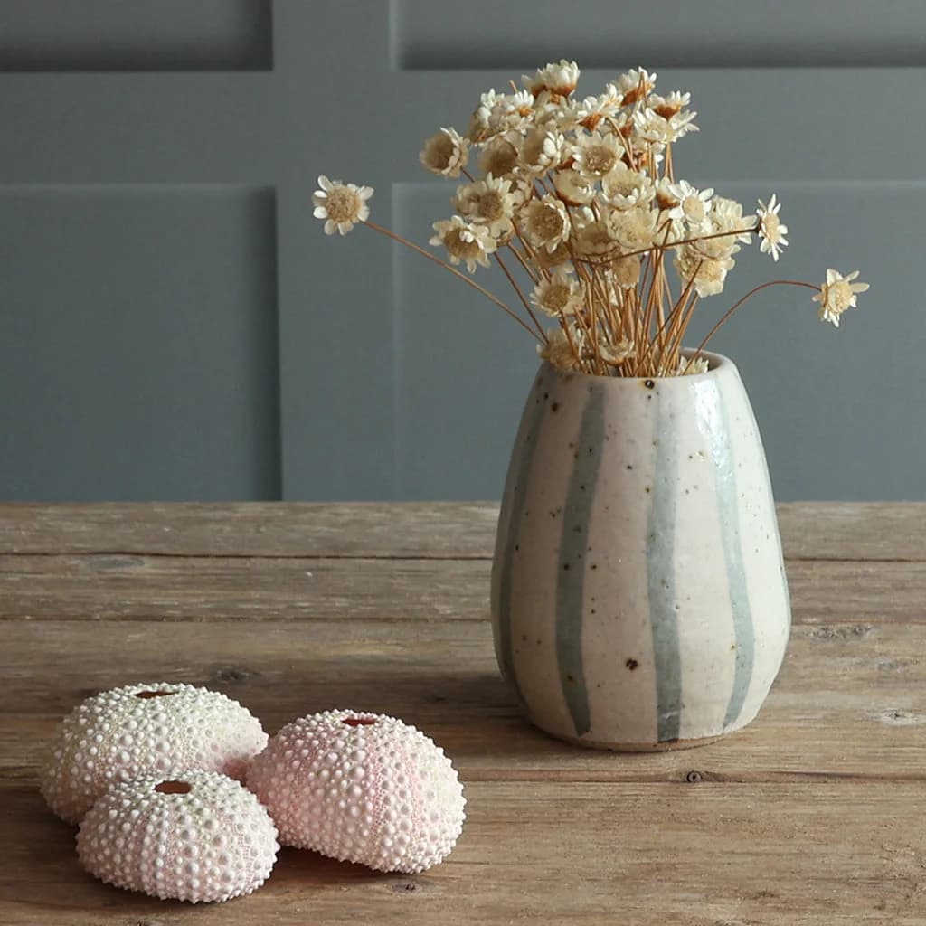 A handmade ceramic vase with blue and white stripes, filled with dried flowers, sits on a rustic wooden table. Three pale pink sea urchin shells are placed in front of it against a paneled wall background.