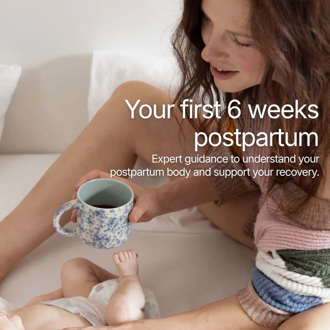 The Digital Postpartum Programme – image 1