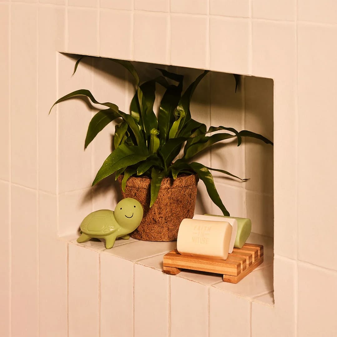 Coconut soap bar